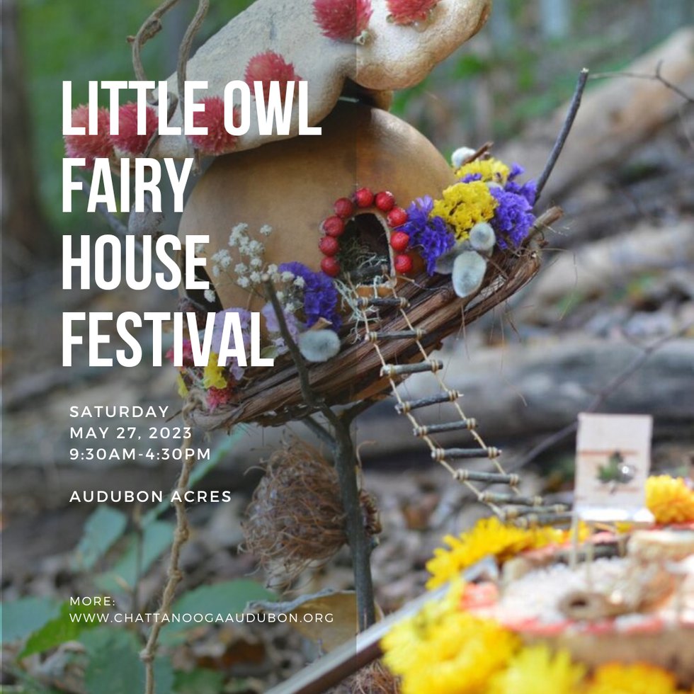 Little Owl Fairy House Festival The Pulse » Chattanooga's Arts